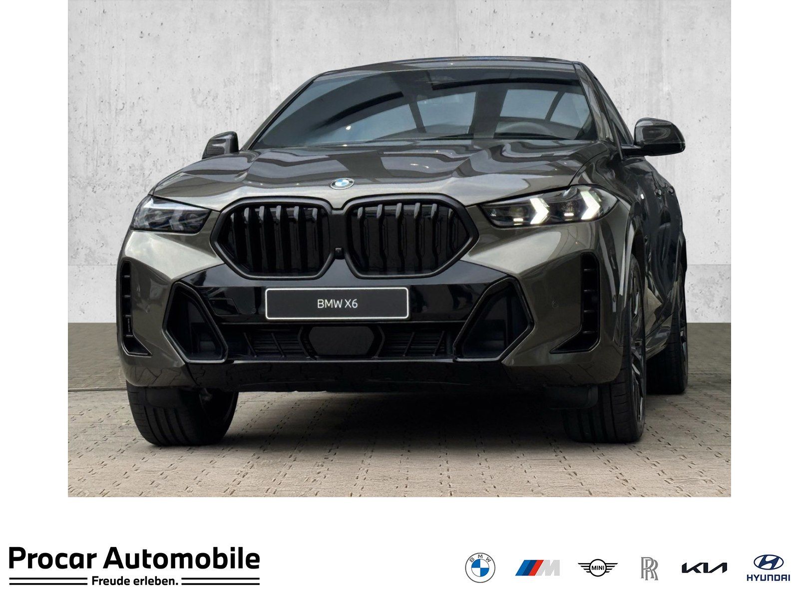 BMW X6 xDrive40d M Sport DA/PA Prof PANO B&W AHK 22"