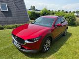 Mazda CX-30 2.0 SKYACTIV-G M-Hybrid 150 Select. AW... - Mazda CX-30 von privat