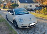 Volkswagen Beetle Cabrio Vollleder 