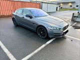 Jaguar XE 20t 200PS Pure Automatik Pure - gebrauchte Jaguar XE aus dem Jahr 2015