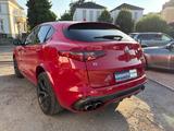 Alfa Romeo Stelvio Quadrifoglio Q4 510 PS - Alfa Romeo: Quadrifoglio