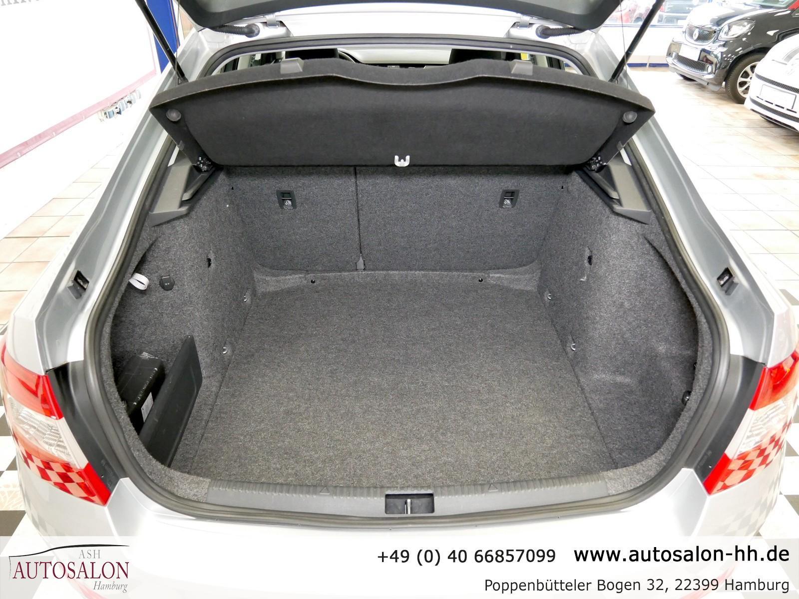 Skoda Octavia Ambition*2Vorb.Rentner*Servicegepf*Bi-Xe