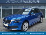 Skoda Kamiq Style 1.0 TSI Sportsitze LED Tempomat PDC - gebrauchte Skoda Kamiq aus dem Jahr 2019