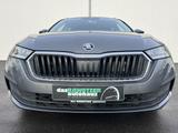 Skoda Octavia Combi 1.5 TSI Tour 144€ m. 20% Anzahlung - Skoda Octavia: 14 Tsi