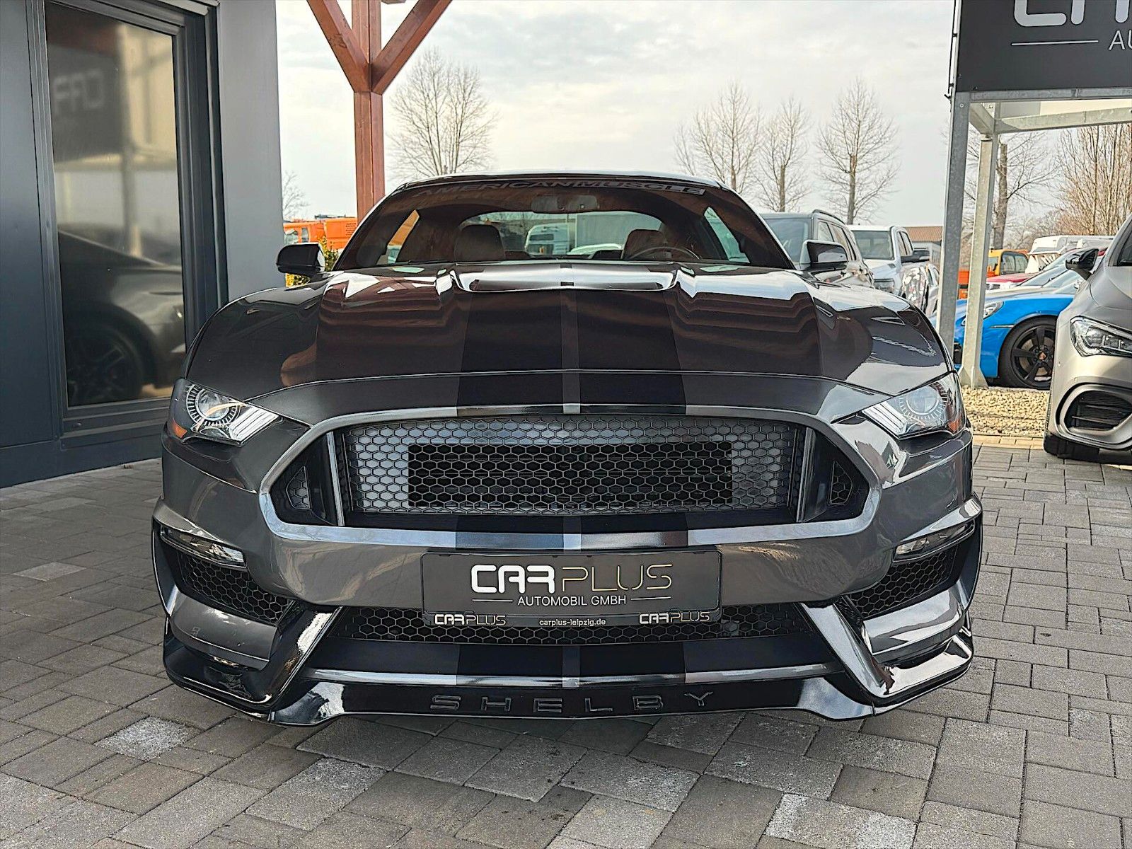 Fahrzeugabbildung Ford Mustang Shelby 500 GT Coupe Performances PREMIUM