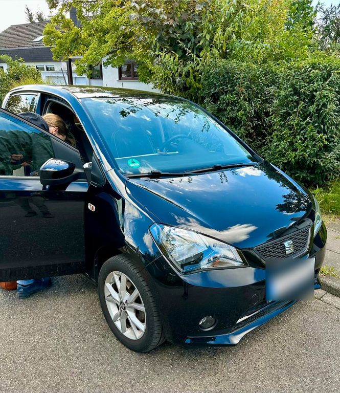 Image of Seat Mii