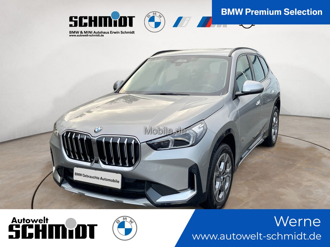 BMW X1 xDrive23d Steptronic Panorama Head-Up AHK