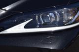 Lexus ES 300h Executive Line LED Leder ACC SHZ+Lüftung - Lexus ES-Serie Gebrauchtwagen