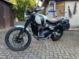 Triumph Scrambler 1200 XC - Offers