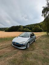 Peugeot 206 2.0 16v s16 - Peugeot 206: S16