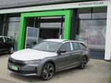 Skoda Octavia Combi  Sportline 1.5 TSI mHEV 110kW AHK - Skoda Octavia Neuwagen