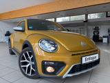 Volkswagen Beetle Dune BMT "Leder LED Temp.SHZ Xen...TRAUM! - Volkswagen Beetle: Dune