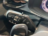 Cupra Terramar - Vorschau Bild 9