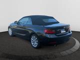 BMW 220 i Advantage Cabrio 8-FACH Navi Leder Soundsy - BMW F22 - BMW 2er Reihe