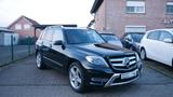 Mercedes-Benz GLK 350 4MATIC/AMG-Line - Mercedes-Benz GLK 350 mit Benzin-Antrieb