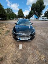 Ford Focus - Ford Focus mit Diesel-Antrieb: Roadster