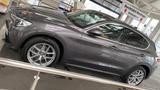 Alfa Romeo Stelvio 2.0 Turbo 16V 206kW Super AT8-Q4 Super - Alfa Romeo Stelvio von privat