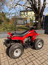 Andere Rex Quad 50 mit Straßenzulassung  - QUAD VON 1 BIS 50 CCM