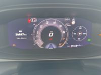 Cupra Terramar - Vorschau Bild 10