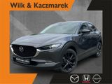 Mazda CX-30 2.5 SKYACTIV-G 140  AT Homura LED Navi HUD - Mazda CX-30 aus 2024