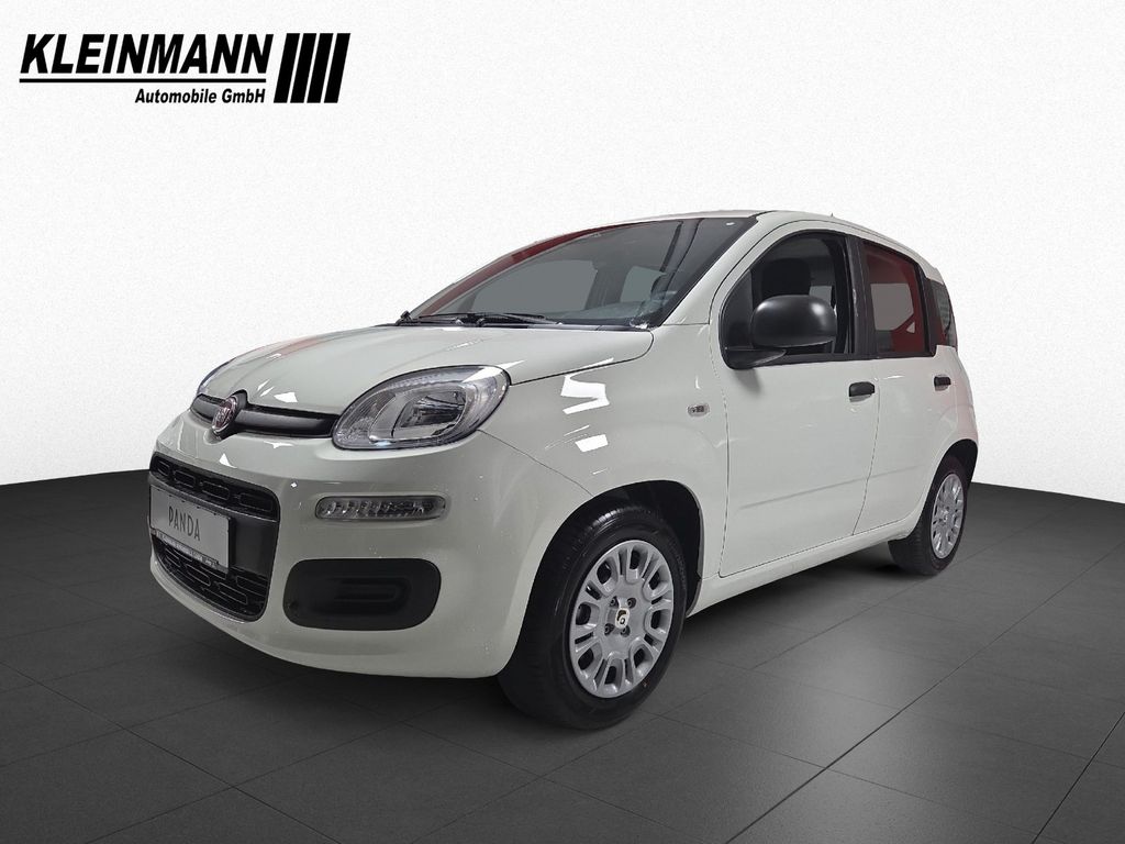 Image of Fiat Panda