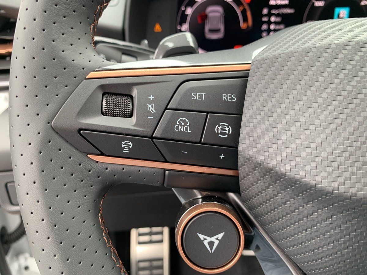 Cupra Terramar - Bild 36