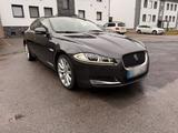 Jaguar XF S 3.0 Limousine - Jaguar XF in Bochum