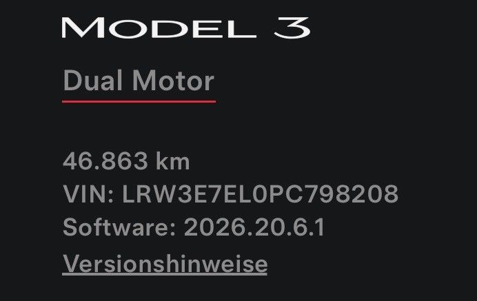 Tesla Model 3 Performance. kaufe auch Teslas an foto 14