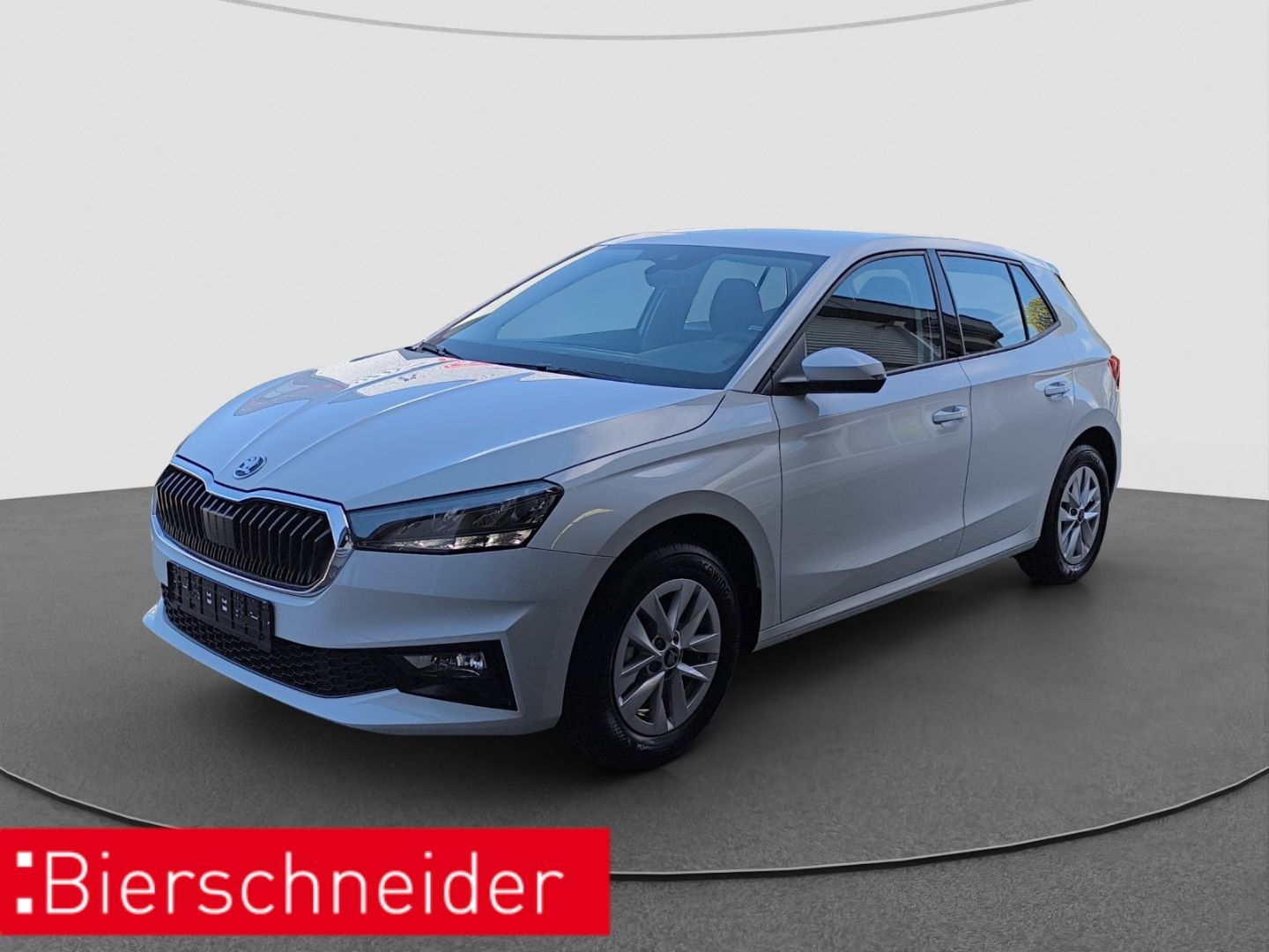 Skoda Fabia 1.0 MPI Selection LED PDC RFK