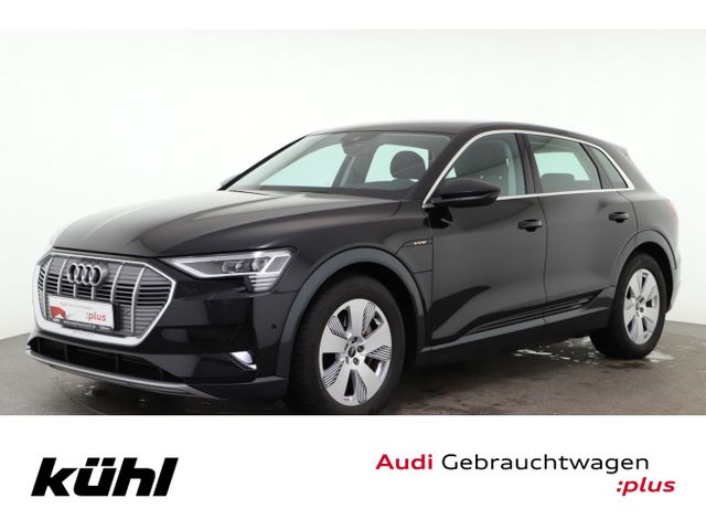 AUDI e-tron 55 Q Advanced LED Luft Kamera Navi AHK