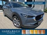 Mazda CX-30 Exclusive Matrix BOSE LogIn 360° Freisprec - Mazda: Login
