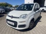 Fiat Panda Pop PDC*KLIMA*SHZ*Radio - Fiat in Leipzig
