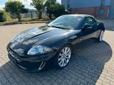 Jaguar XK  5.0 V8 Cabrio*Leder*Navi*Shz*Pdc*El.sitze* - Jaguar XK aus 2011