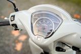 Honda NSC 110 Vision 110 Modell 2024 mit Tageszulassun - HONDA VISION 110