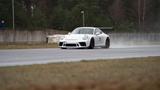 Porsche 991 Porsche 911 (991.2) GT3 Cup - Porsche: Cup