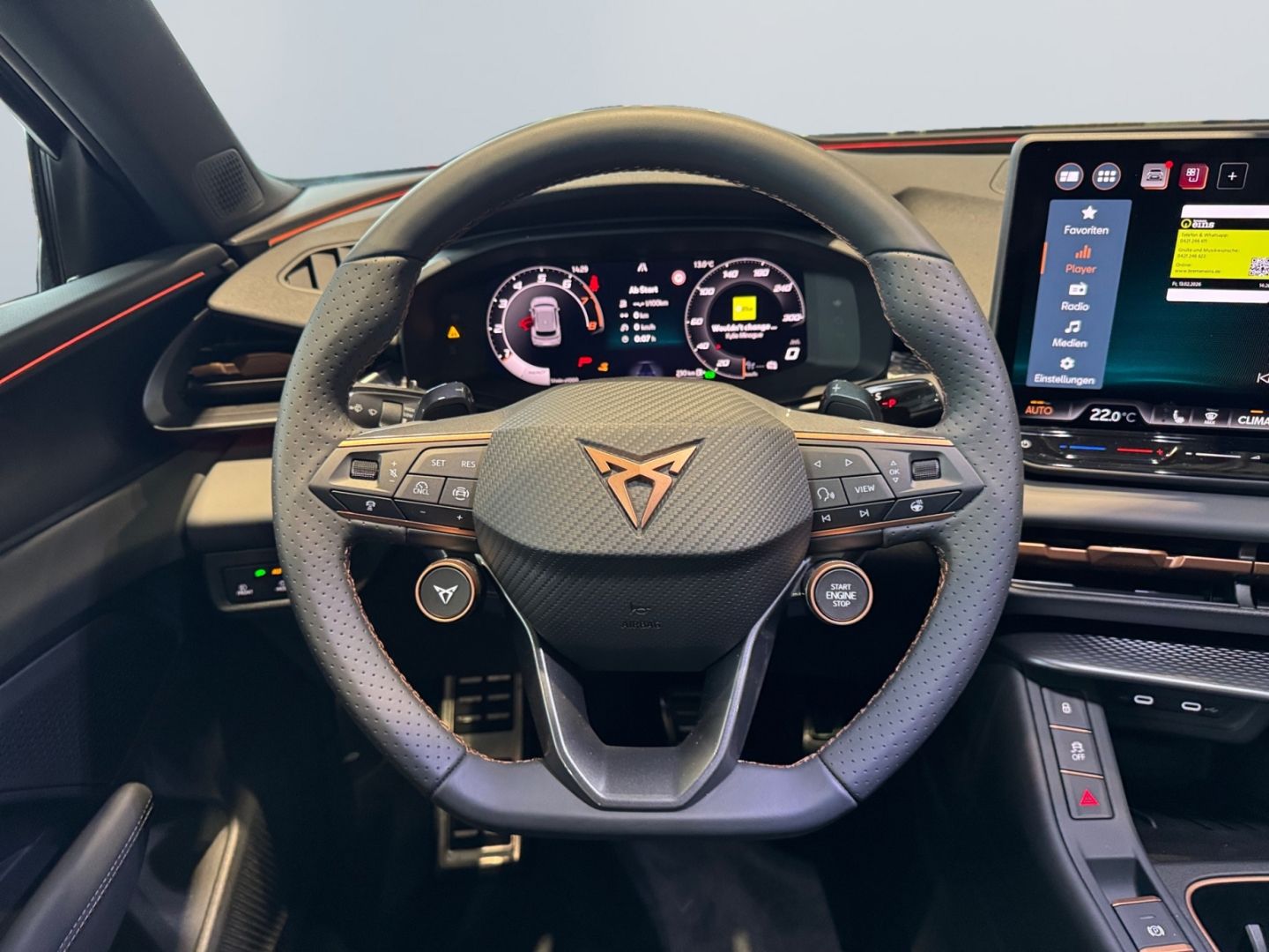 Cupra Terramar - Bild 10