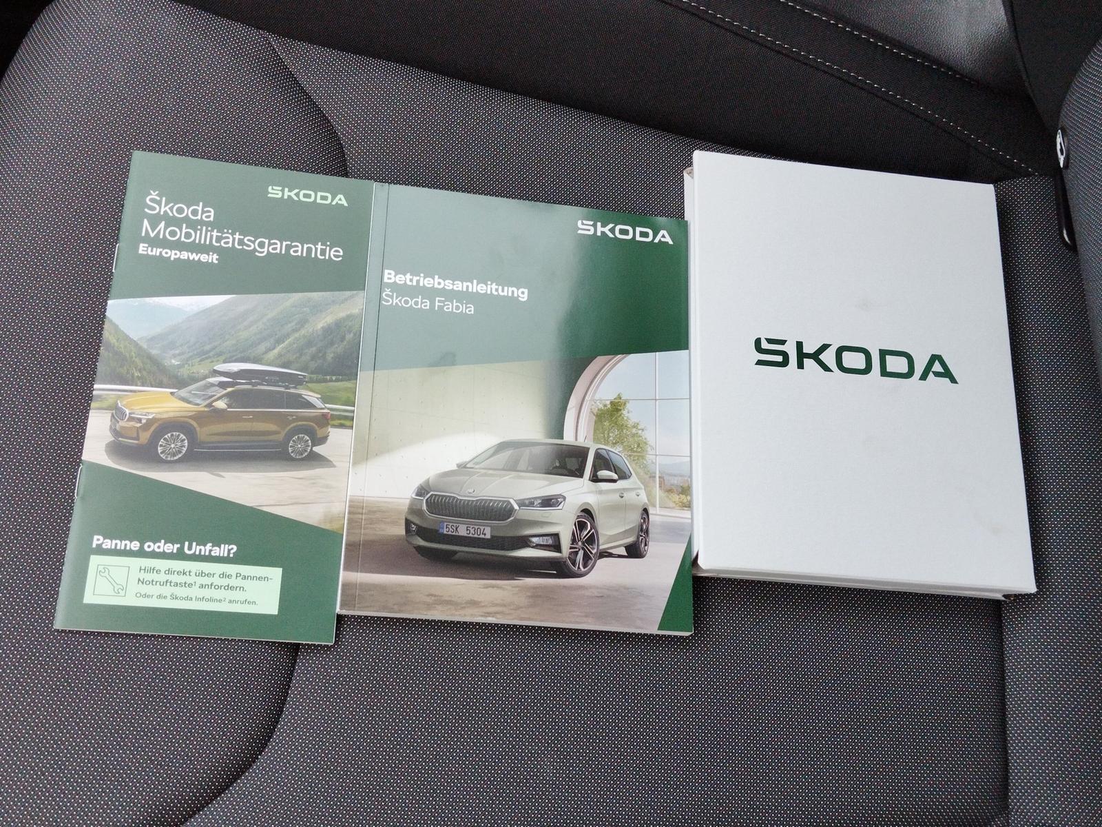 Skoda Fabia 1.0 TSI Balance DSG ACC*AUT*Fernlichtass., миниатюра 30