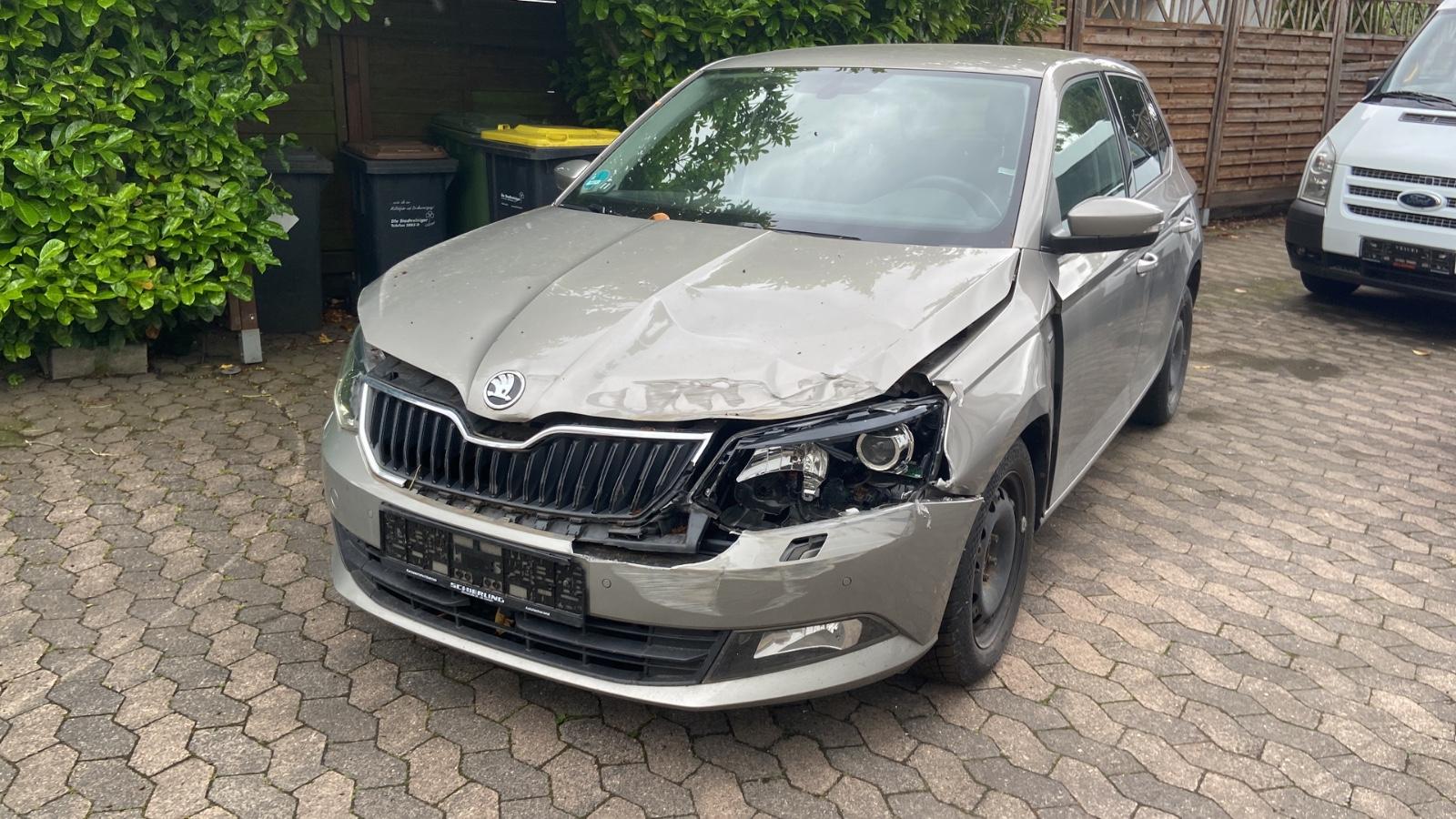 Skoda Fabia 1.0 TSI DSG Drive