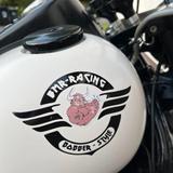 Kawasaki Vn800 Bobber  - Offers matching your search criteria