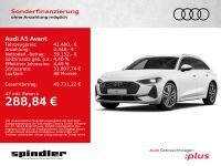 Audi A5 - Vorschau Bild 1