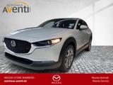 Mazda CX-30 SHZ*LHZ*ACC*Rükam*Navi*Klimaautomatik - Mazda CX-30 Neuwagen