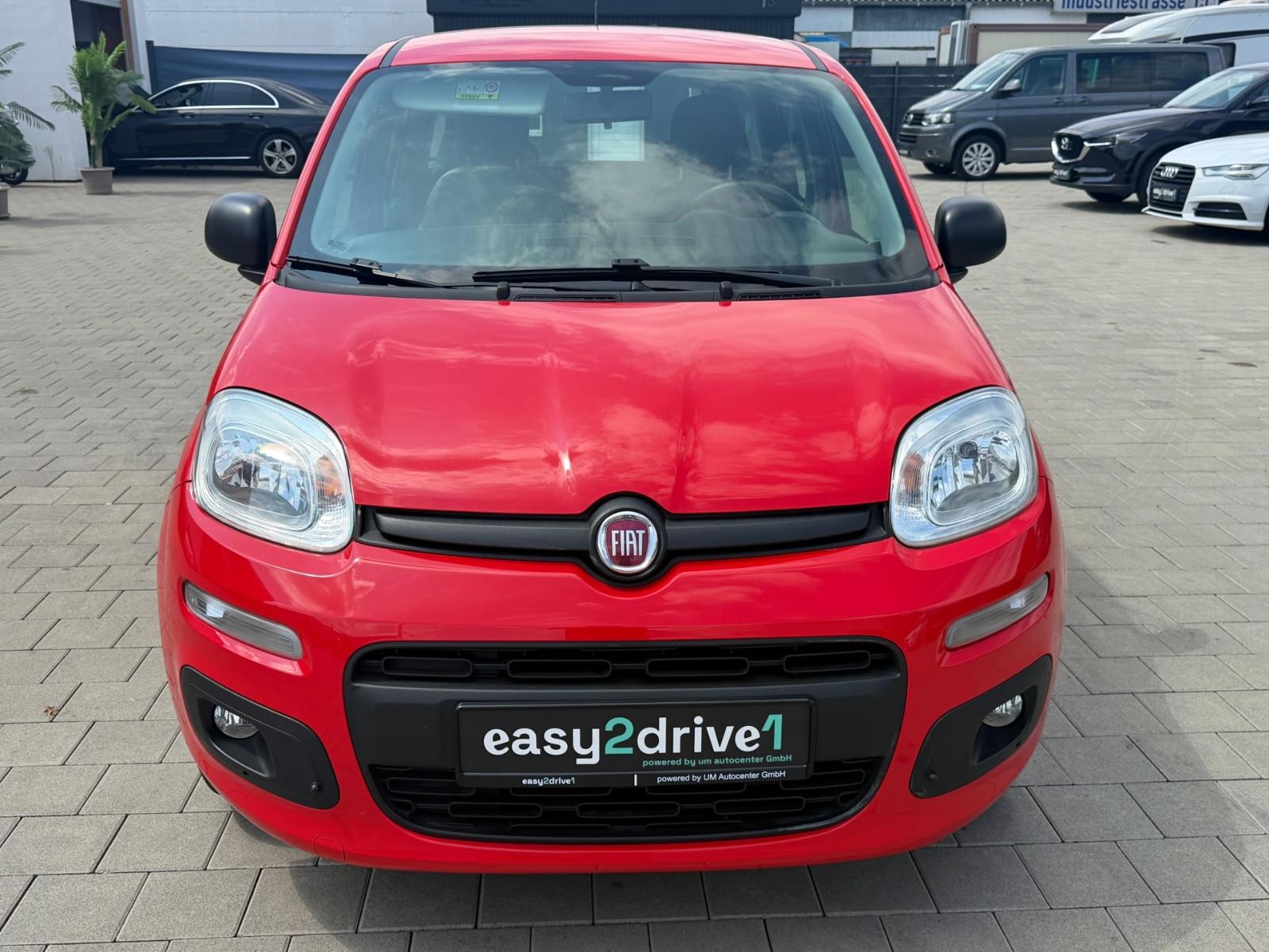 Fiat Panda Easy 1.2/KLIMA/ZAHNRIEMEN NEU/DAB