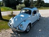 Volkswagen Käfer - weiße Volkswagen Käfer