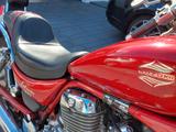 Suzuki Intruder VS 800 GLP - SUZUKI VS 800 INTRUDER