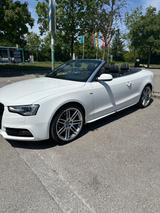 Audi A5 3.0 TDI S tronic quattro Cabriolet -