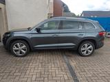 Skoda Kodiaq 2.0 TDI SCR 140kW DSG 4x4 STYLE-VOLL ! - Skoda: Grün