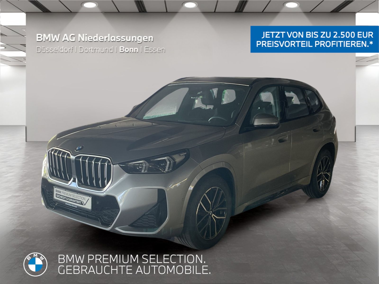 BMW X1 sDrive20i M Sport AHK Driv.Assist.Prof LED
