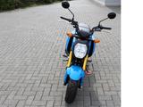 Honda MSX 125 GROM ABS+LED !! Herbstaktion !! - HONDA MSX 125