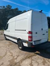 Mercedes-Benz Sprinter 516 CDI 2 Schiebet./Standhzg. /Temp - Mercedes-Benz Sprinter: 5t