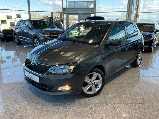 Skoda Fabia 1.2TSI Style SmartLink Climatronic Kessy G